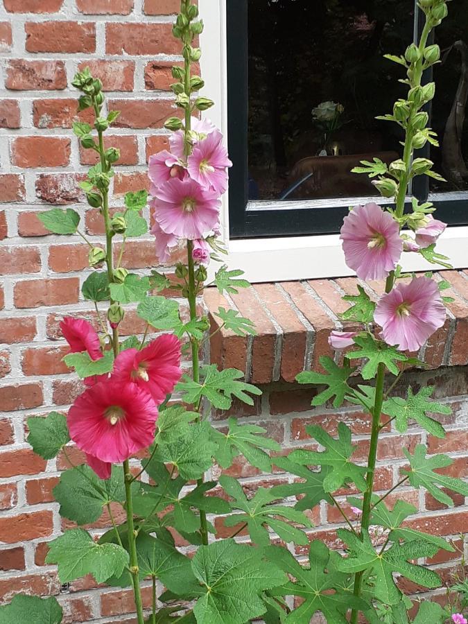 Bed&Breakfast Oudeschans Apartment Exterior photo